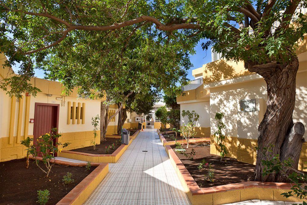 Apartamentos Plataneras Los Cristianos  Exteriér fotografie